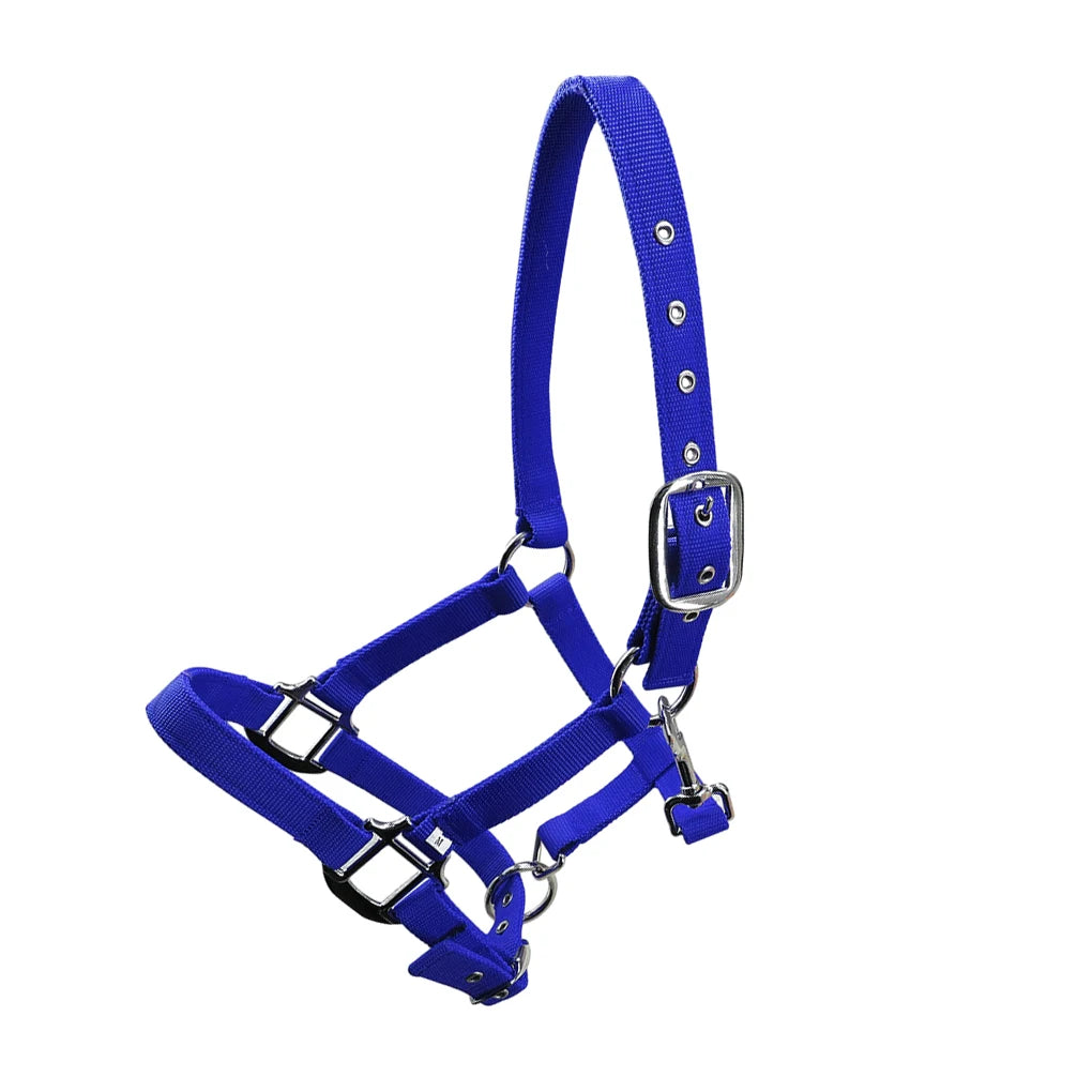 Licol Réglable Anti-Rouille pour Poney & Cheval – Alliage de Zinc, 3 Couleurs, XS à XL
