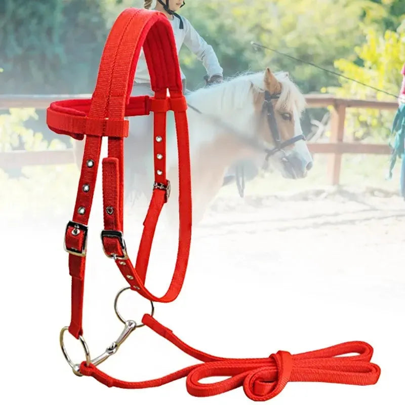 Licol en Polaire Rembourré pour Cheval – Réglable, Ultra-Doux, S / M / L
