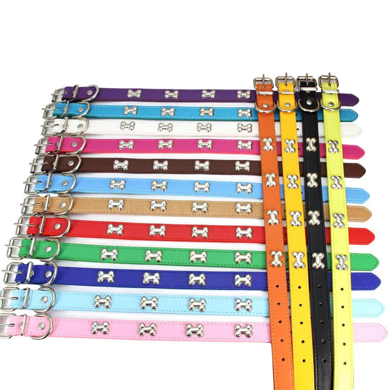 Collier en Cuir pour Chien – 16 Couleurs, Tailles XS à L