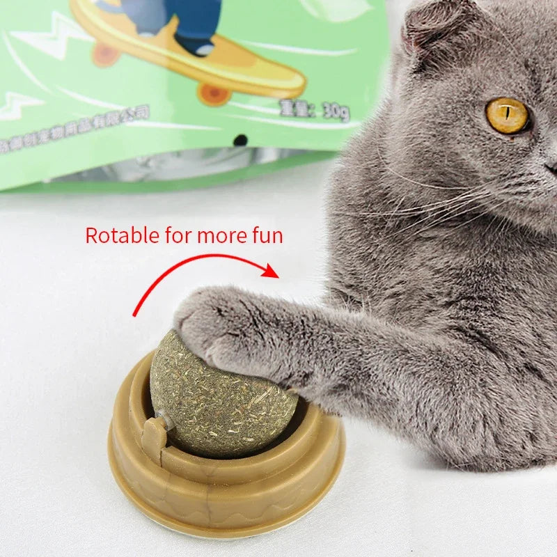 Balle Griffoir Murale au Catnip pour Chat — Stimulante & Digestive