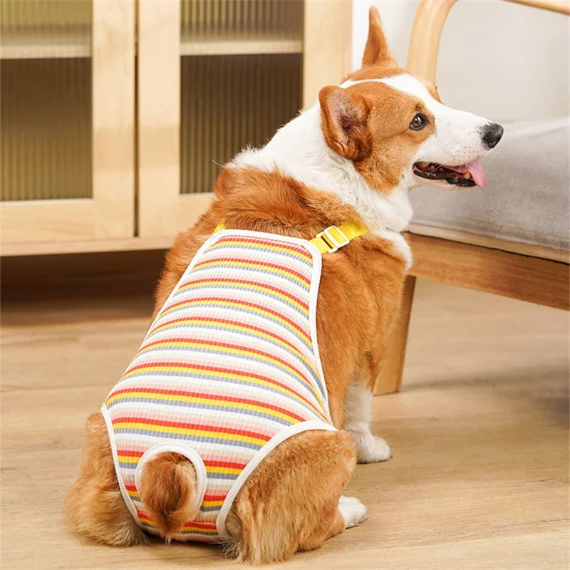 Culotte Physiologique Réglable pour Chienne – Lavable, Toutes Saisons