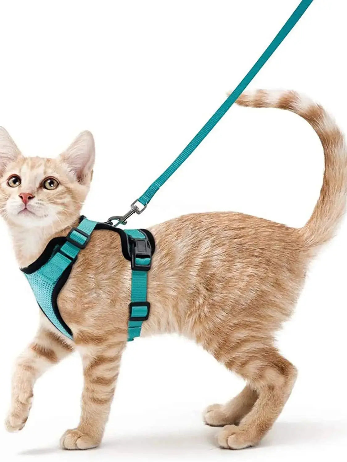 Kattenharnas en -riem, zacht en verstelbaar ontsnappingsbestendig vesttuigje voor katten, EasyControl