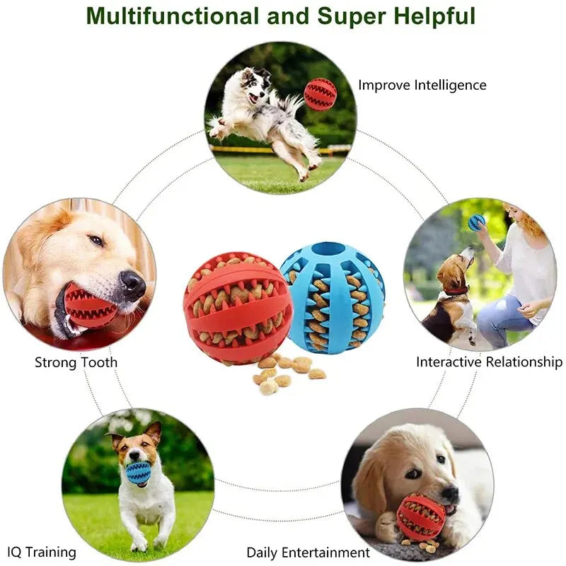 Balle Caoutchouc pour Chien – Non Toxique, Distributrice de Friandises, Nettoyage Dentaire