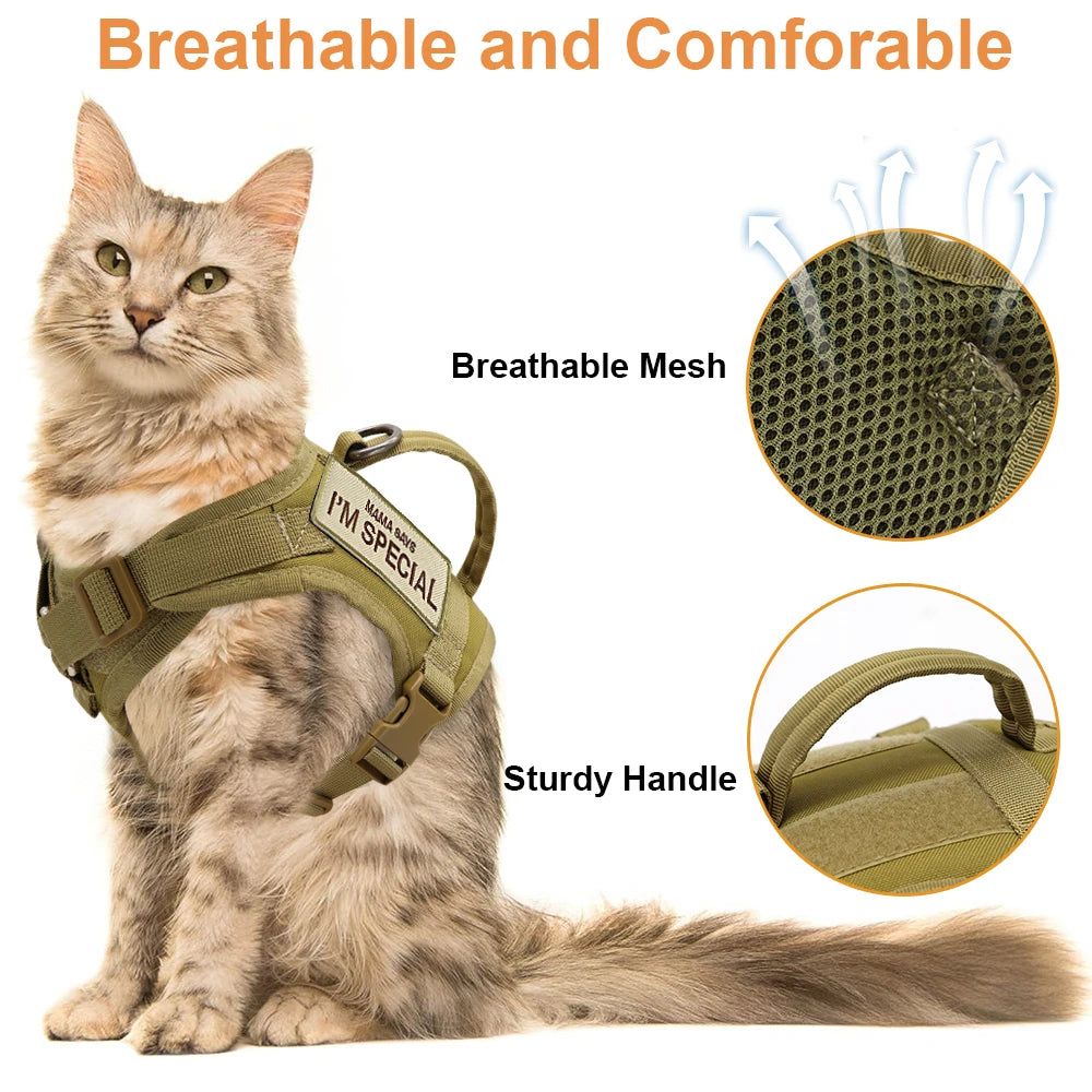 Harnais Tactique en Nylon pour Chat & Petit Chien – Avec Poignée