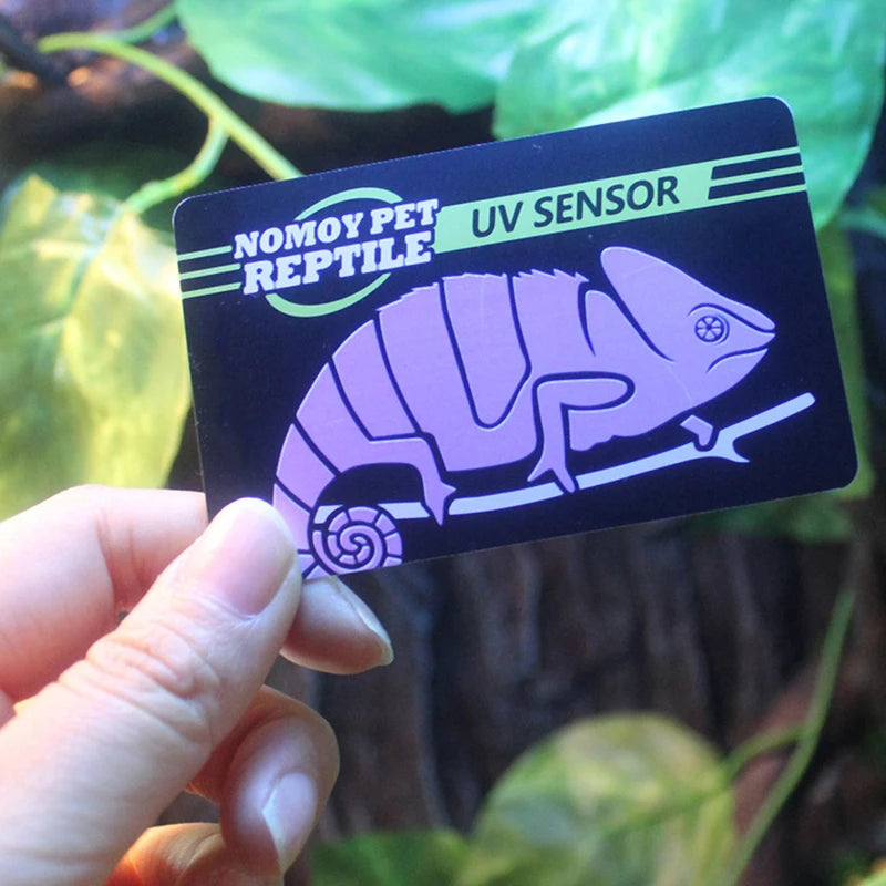 Carte Test UVB Réutilisable pour Terrarium Reptiles – Détection Intensité UV, 500 Utilisations