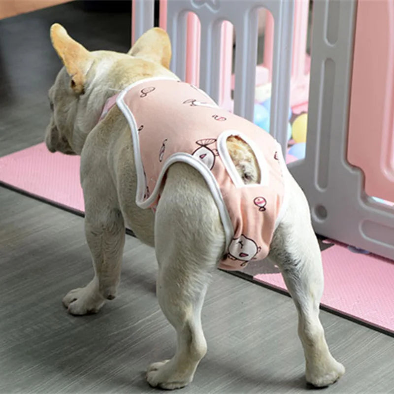 Culotte Physiologique Réglable pour Chienne – Lavable, Toutes Saisons