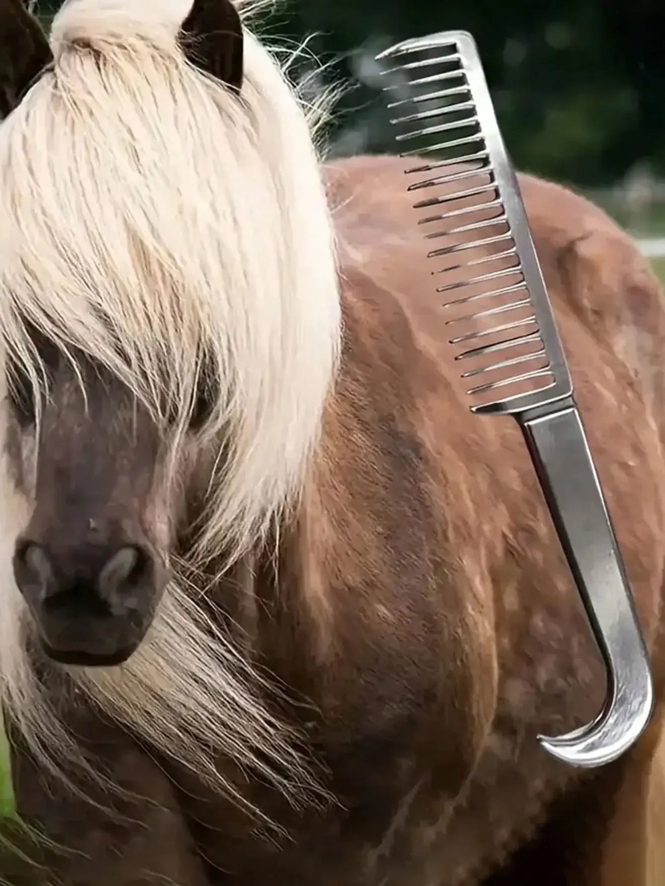 Peigne Crinière & Queue en Alliage d'Aluminium – Anti-Nœuds, Léger, Pansage Cheval