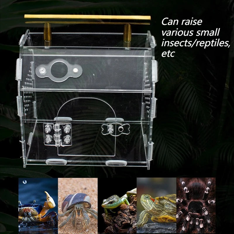 Terrarium Acrylique Portable pour Reptiles – Fermeture Magnétique