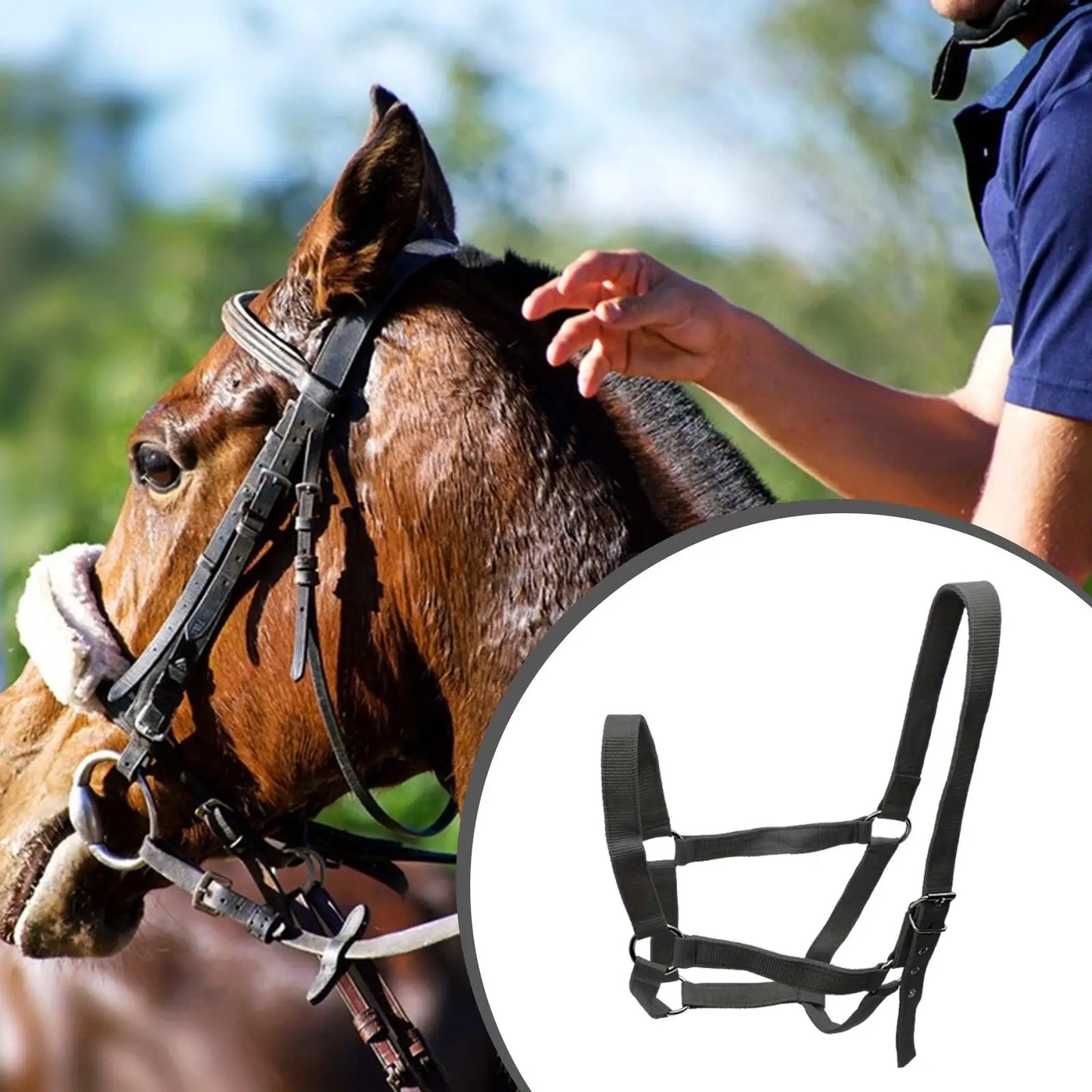 Hoofdstel voor paarden, lichtgewicht en draagbaar trainingshoofdstel van touw, halster met karabijnhaak en keelriem, slijtvast voor renbaan en weide