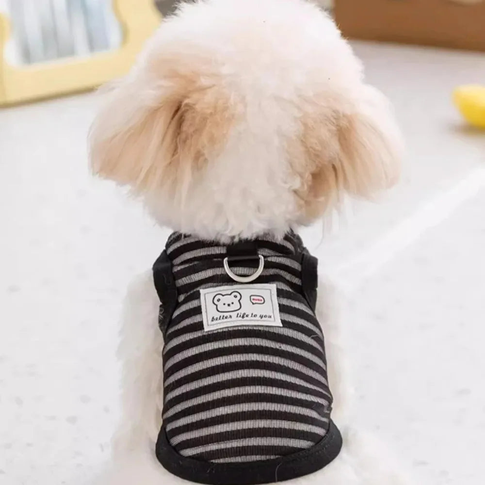 Gilet d'été pour petits et moyens chiens, vêtements rafraîchissants pour Chihuahua, Bouledogue Français, vêtements respirants, chemise décontractée pour chiot, costume pour chien