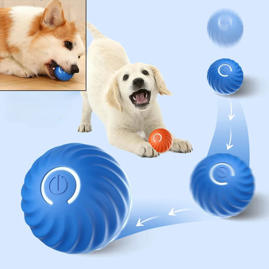 Balle Interactive Automatique pour Chien – USB