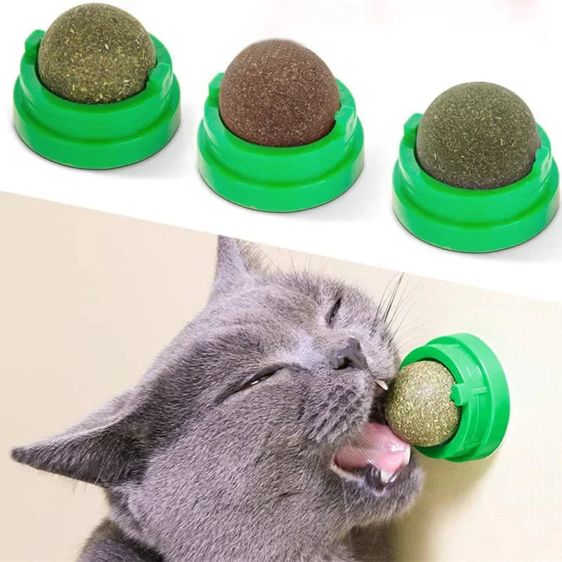 Balle Griffoir Murale au Catnip pour Chat — Stimulante & Digestive