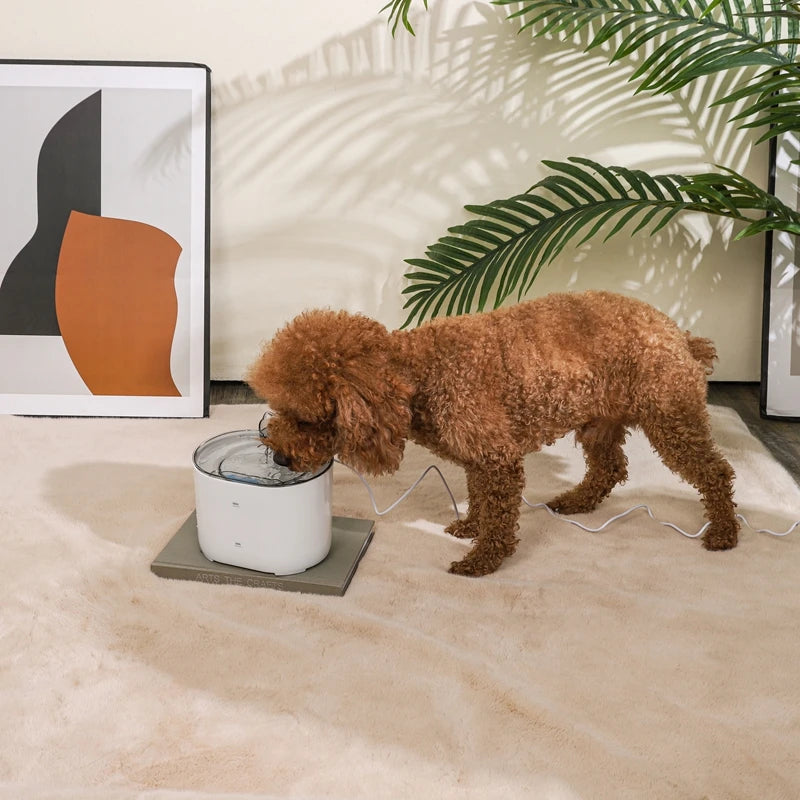2,2 L/74 oz kattenwaterfontein, ultrastil, met tuit in de vorm van een kat, ideaal voor binnenkatten.