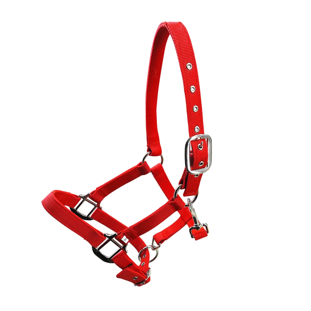 Licol Réglable Anti-Rouille pour Poney & Cheval – Alliage de Zinc, 3 Couleurs, XS à XL