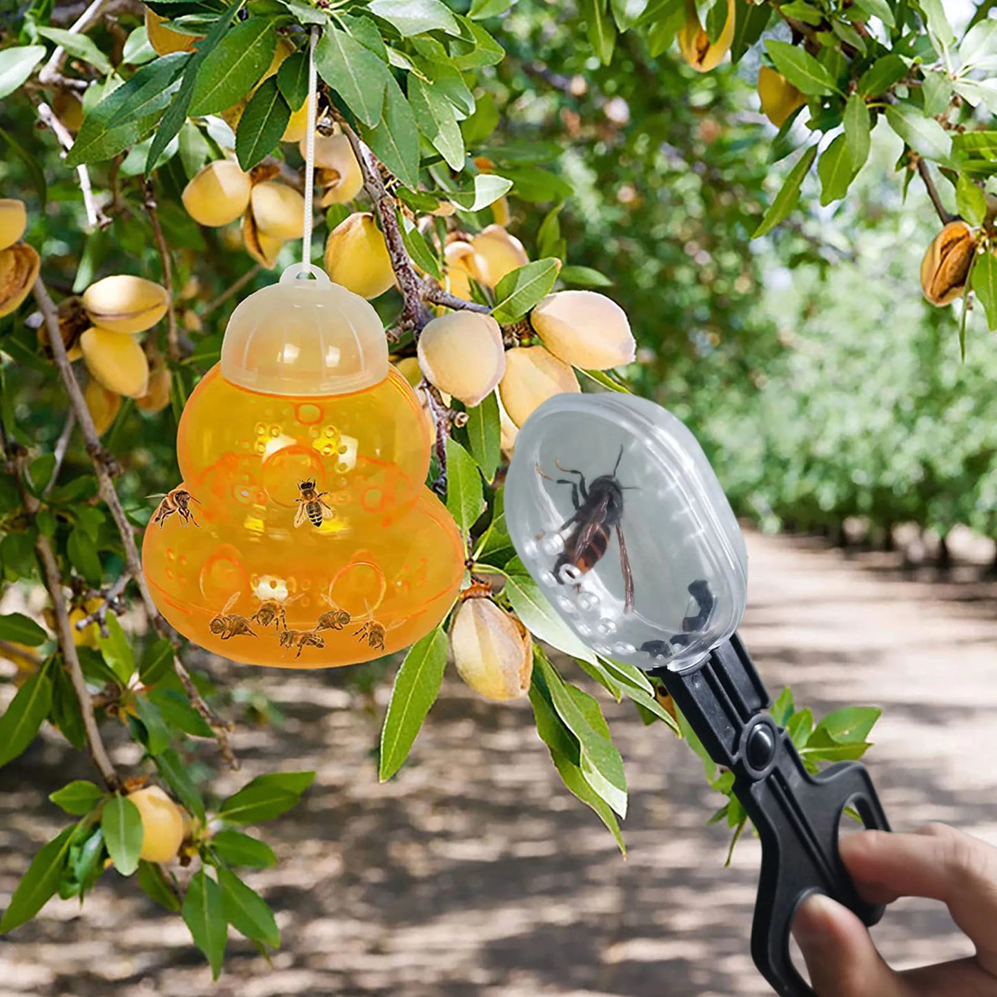 Pince à Insectes Transparente pour Reptiles – Capture Vivante, Plastique ABS, Tortue & Lézard