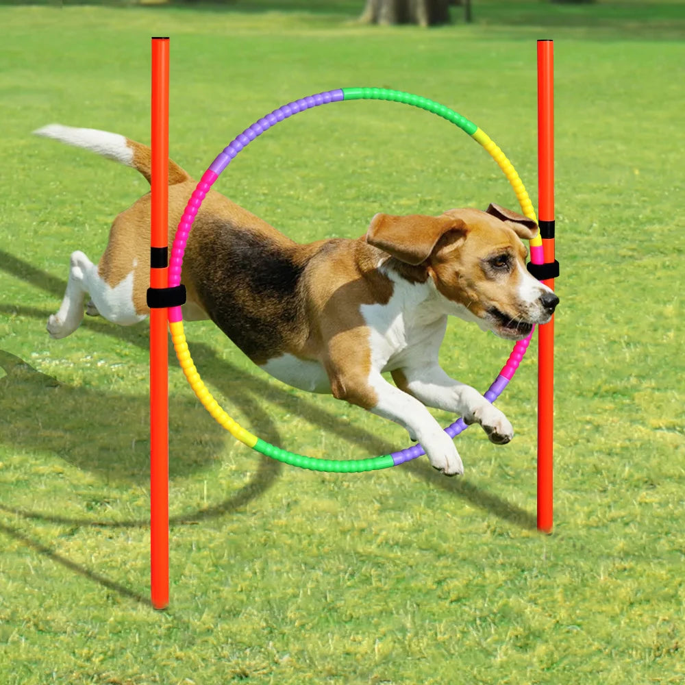 Kit d'Agilité pour Chien – Obstacles & Piquets d'Entraînement Portables