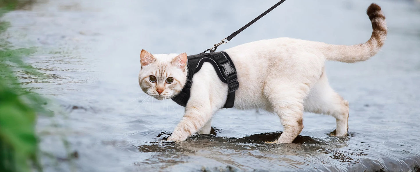 Kattenharnas en -riem, zacht en verstelbaar ontsnappingsbestendig vesttuigje voor katten, EasyControl