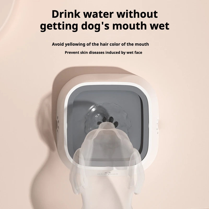 Antiknoeihondenwaterbak, langzaam drinkende waterdispenser met anti-stik drijfschaal.