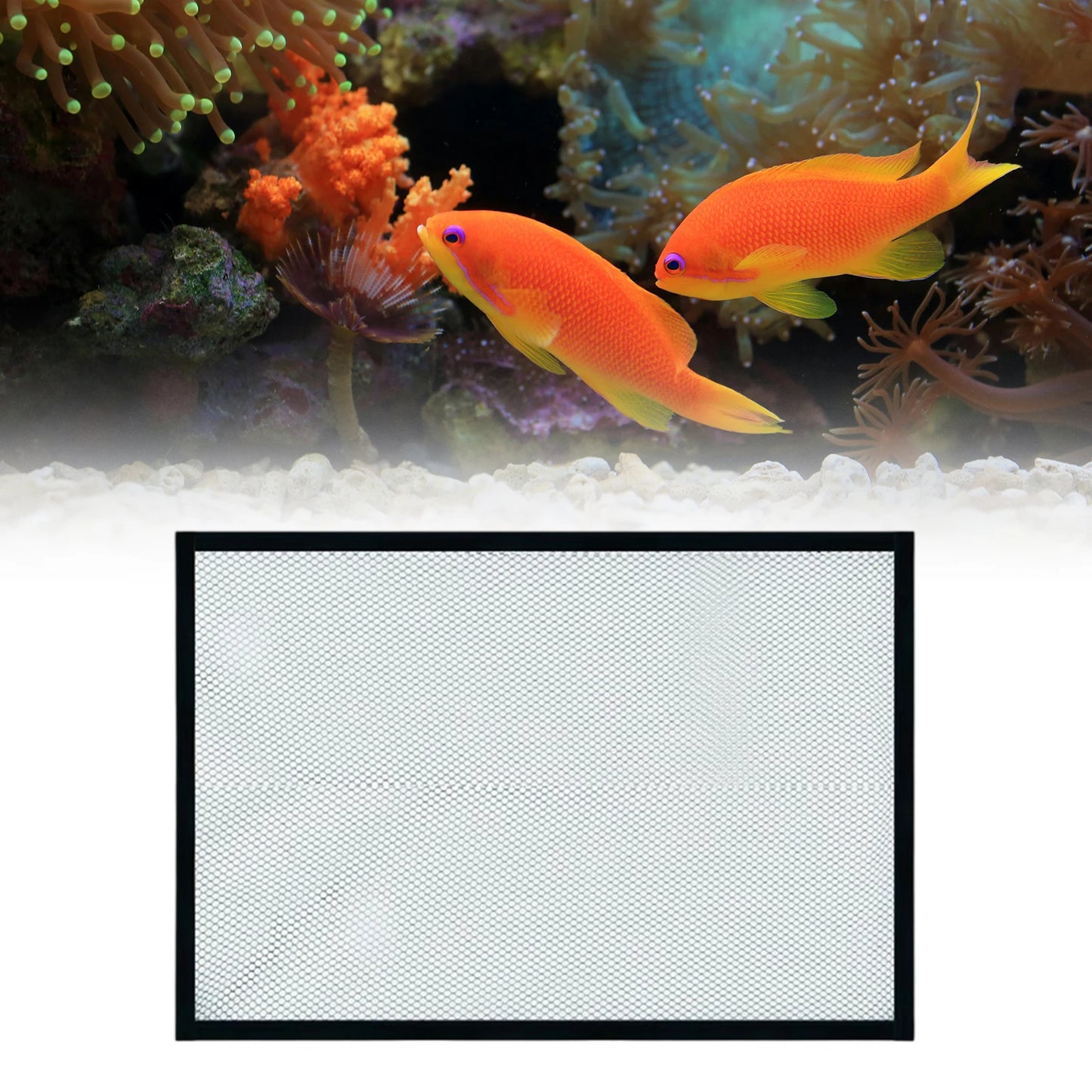 Couvercle Filet Anti-Saut Magnétique pour Aquarium – Polyester, Maille 5 mm, 4 Tailles