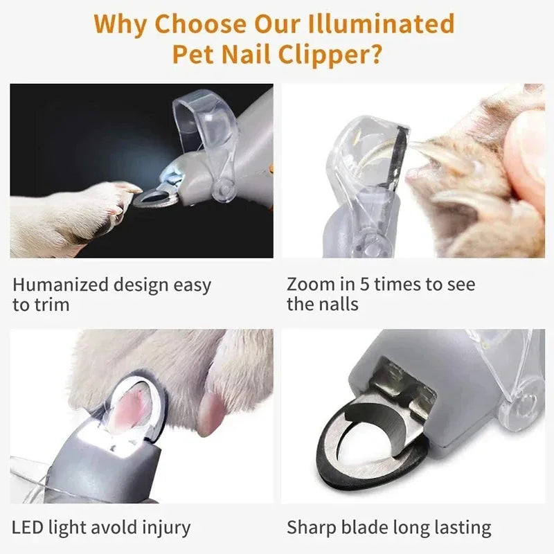Coupe-Ongles LED pour Chat & Chien – Lumière Anti-Saignement