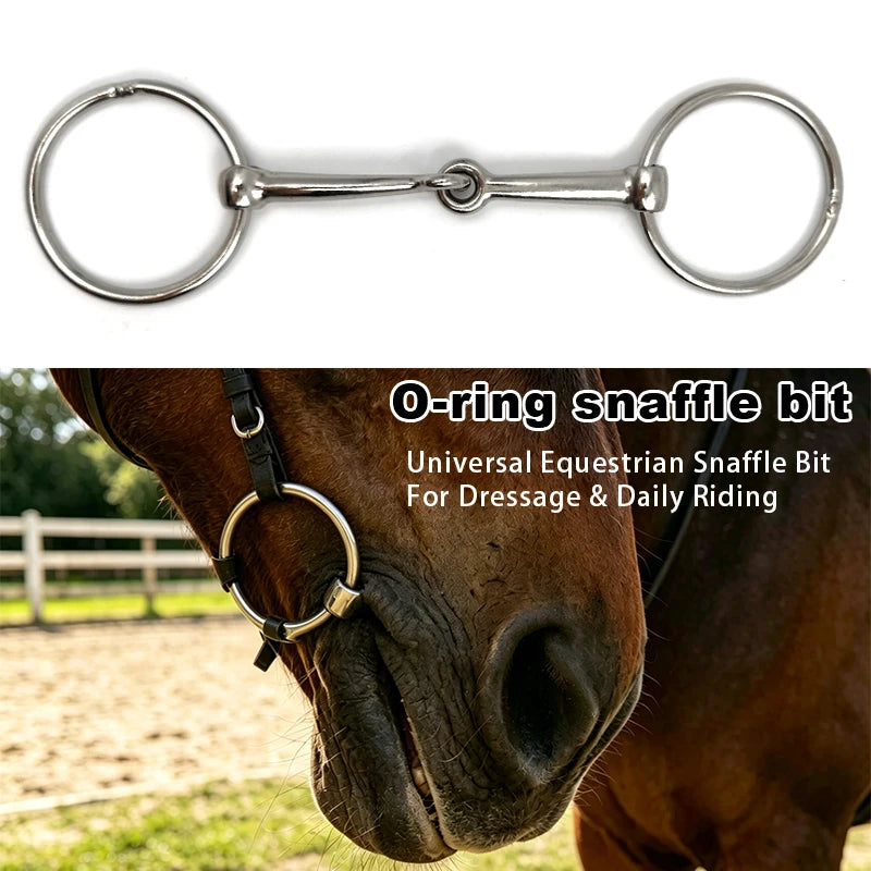Mors de Type O pour Cheval – Dressage & Équitation Quotidienne