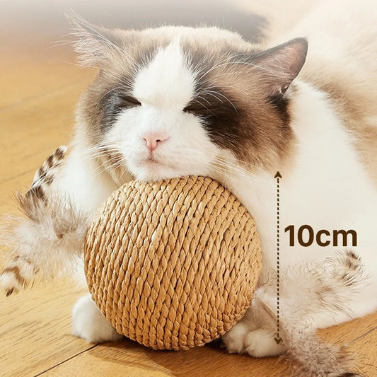 Balle à griffer interactive en sisal pour chatons, jouet anti-morsure, 10 cm, super grosse balle sonore pour chats, accessoires pour animaux de compagnie