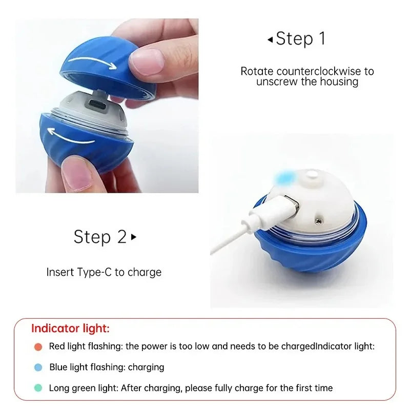 Balle Interactive Automatique pour Chien – USB