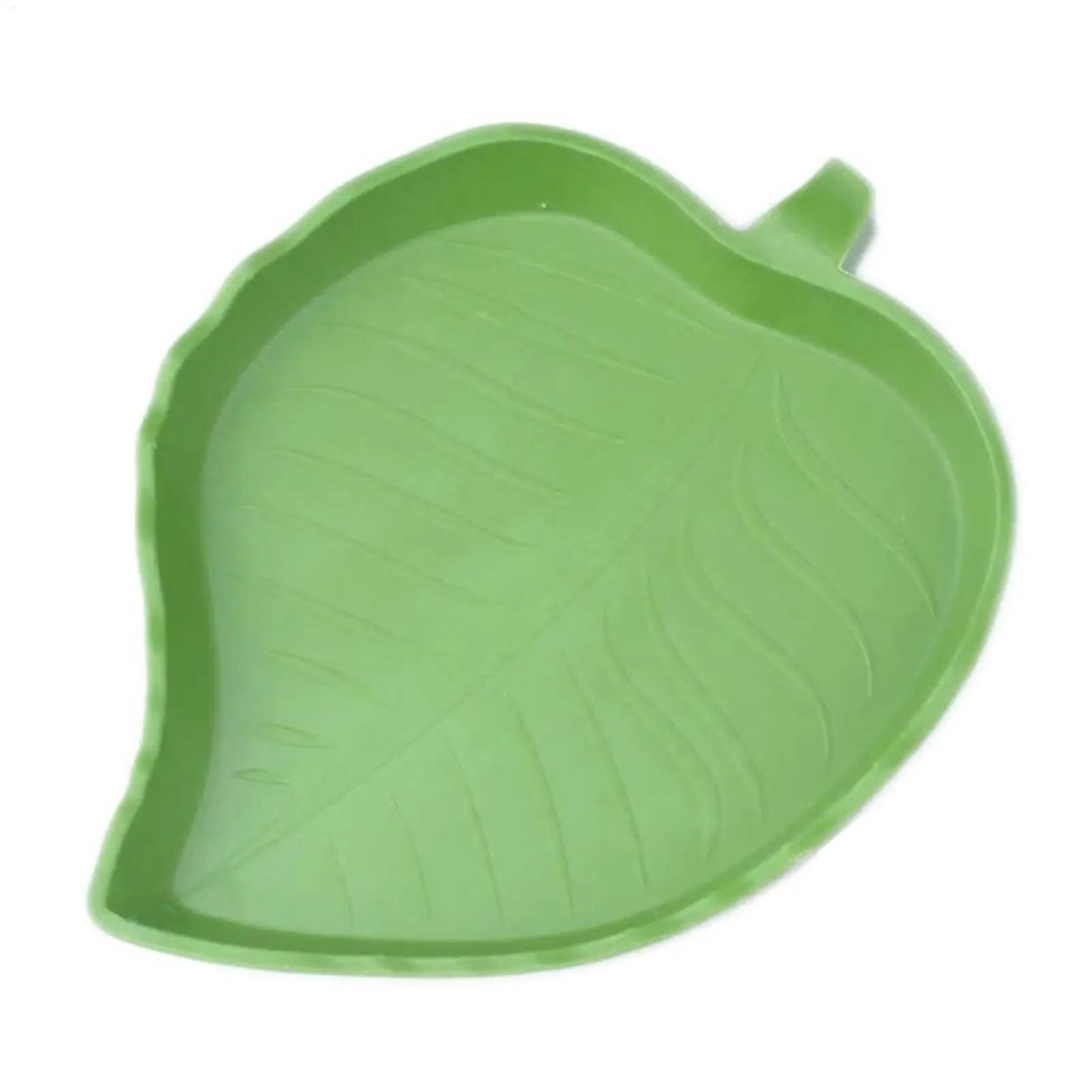 Gamelle en Forme de Feuille pour Reptiles – Eau & Nourriture, PP, S / L