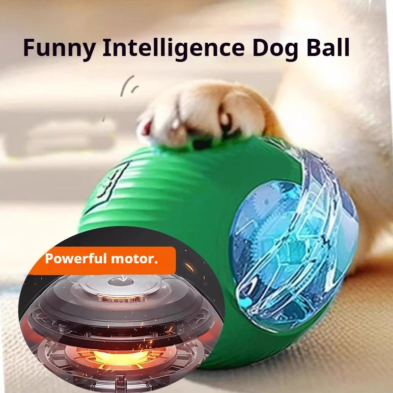 Balle Interactive Automatique pour Chien – Rechargeable USB-C, 3 Modes, Évitement d'Obstacles