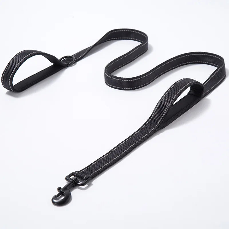 Laisse chien double poignée réfléchissante – Nylon robuste, L 150 cm & XL 180 cm