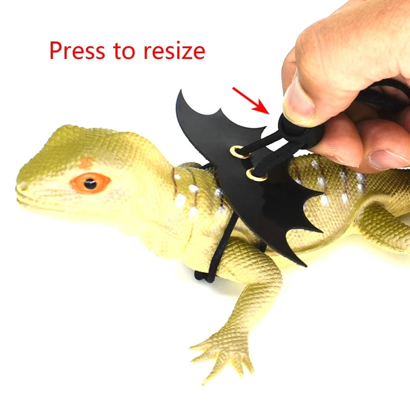 Harnais & Laisse pour Dragon Barbu — Ailes Décoratives, Taille S/M