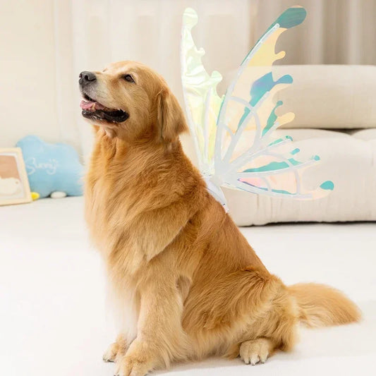 Ailes de Papillon Lumineuses pour Chien – Accessoire Fée Électrique, Lumière Colorée ou Chaude