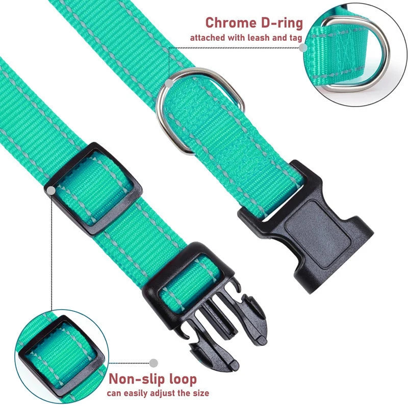 Collier Réfléchissant en Nylon pour Chien – Réglable, Visible de Nuit, 7 Couleurs, S à XL