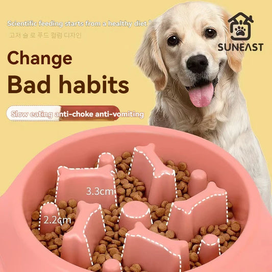 Gamelle anti-glouton pour chien — Écologique & durable