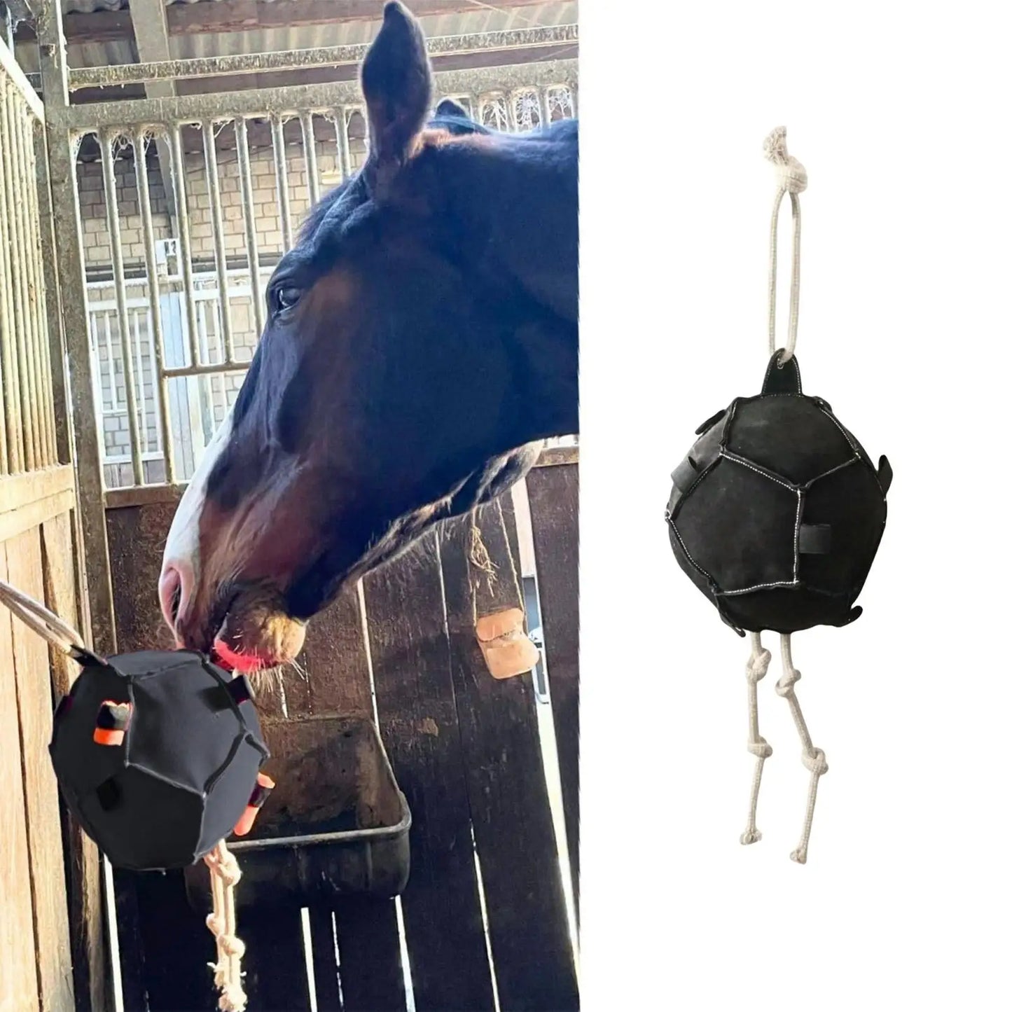 Balle à Friandises Suspendue pour Cheval – Jouet Anti-Ennui