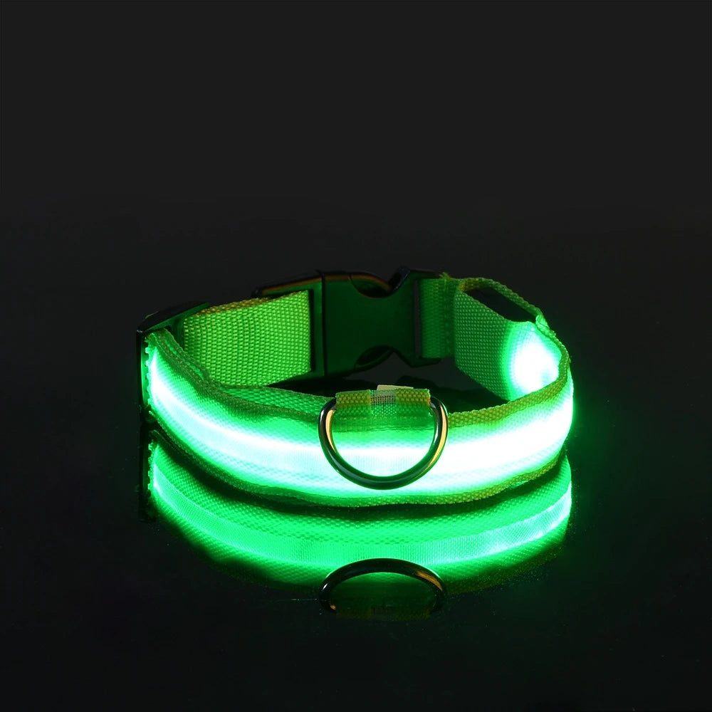 Collier LED Fluorescent pour Chien — Sécurité Nocturne, Nylon, 7 Coloris