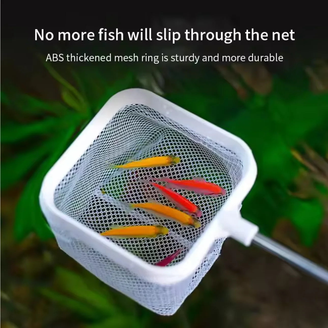 Épuisette Carrée pour Aquarium – Manche Extensible & Ventouse, Blanc / Noir
