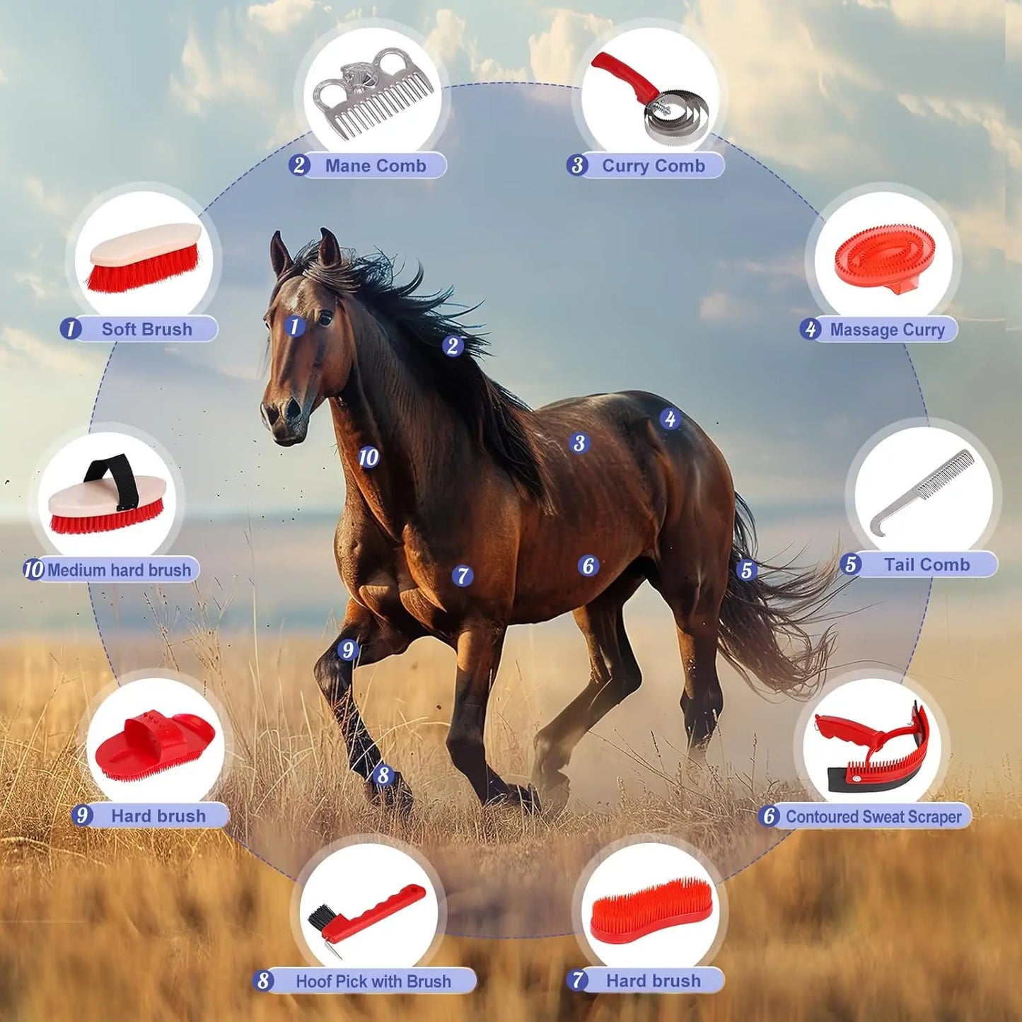 Kit de Toilettage Complet pour Cheval – 10 Pièces avec Sac