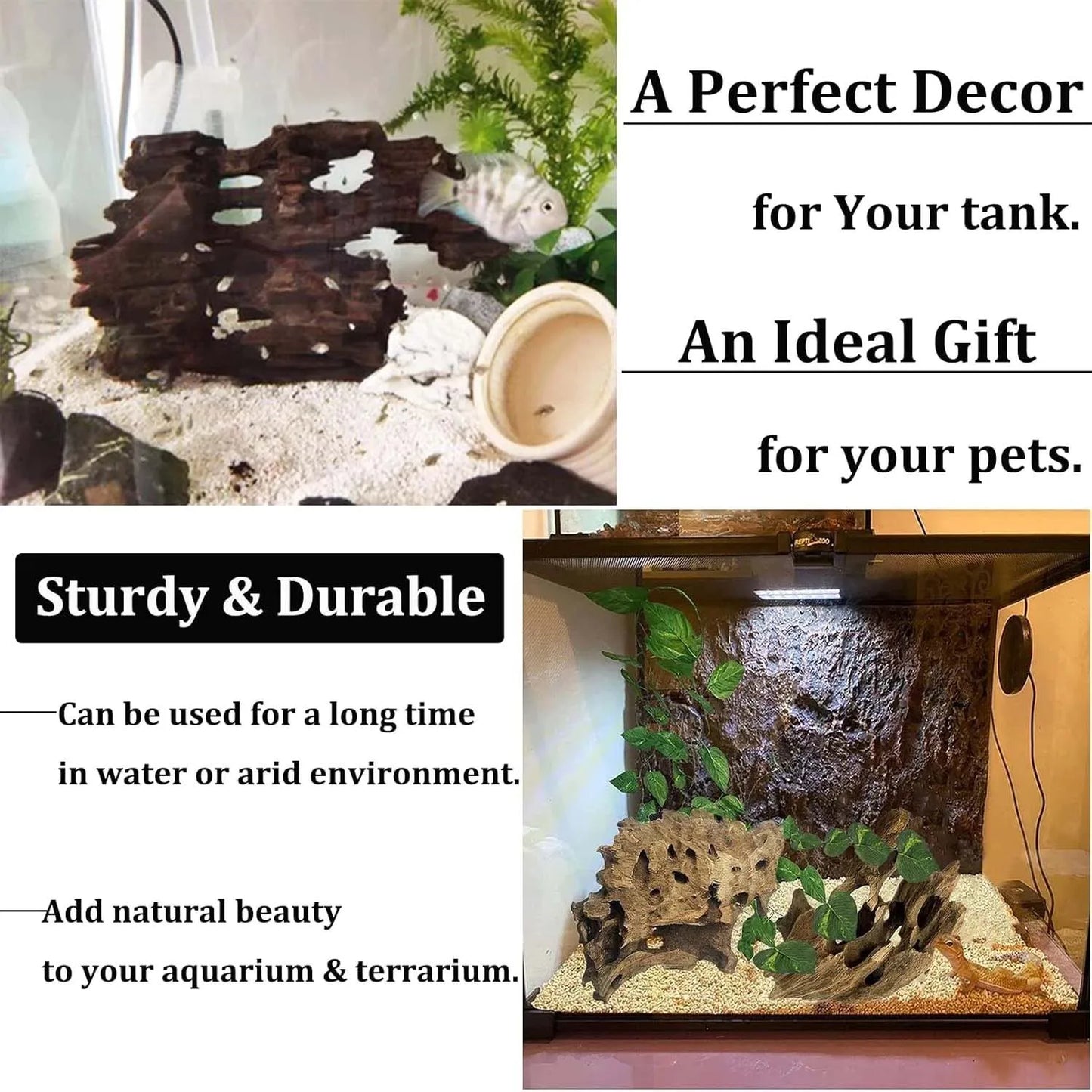 Bois Flotté Naturel Poreux pour Aquarium & Terrarium – Décoration Crevettes & Crabes, 10-20 cm
