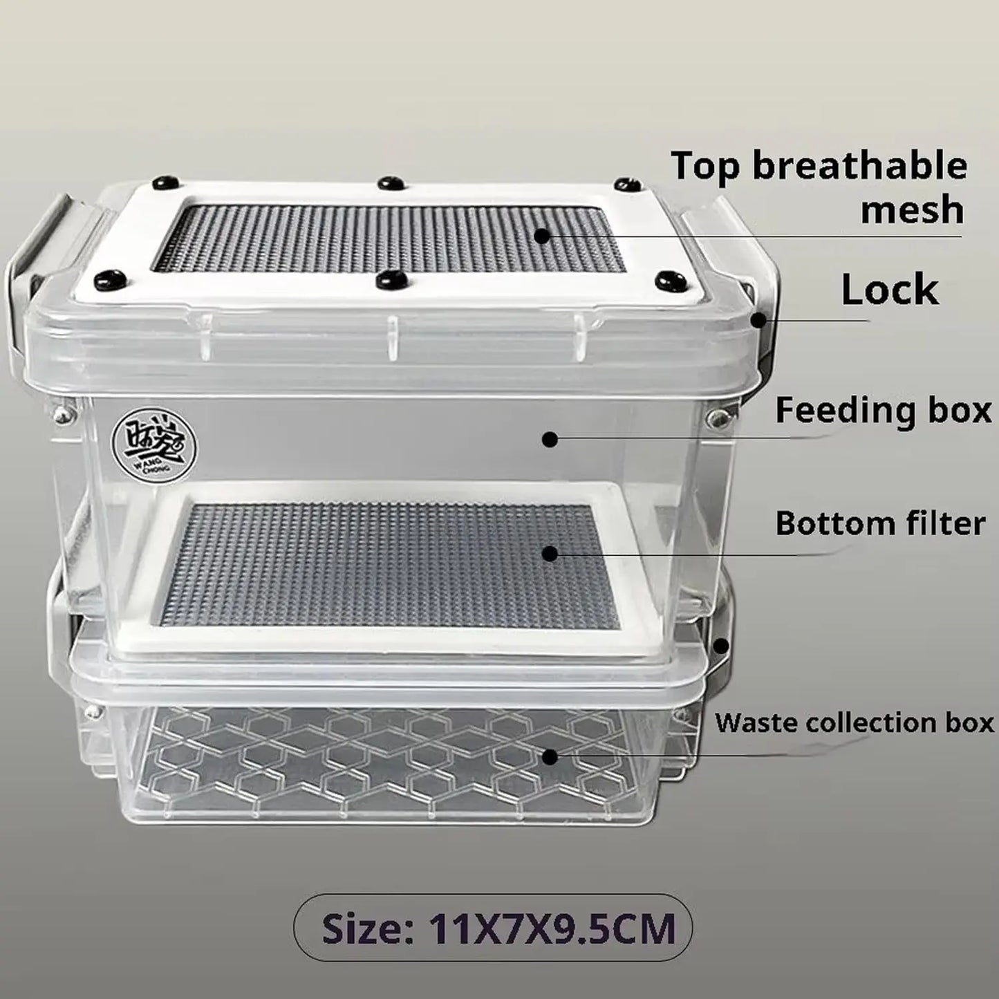 Boîte d'Élevage Double Étage pour Insectes – Transparente, Grille Respirante, Vers de Farine & Criquets