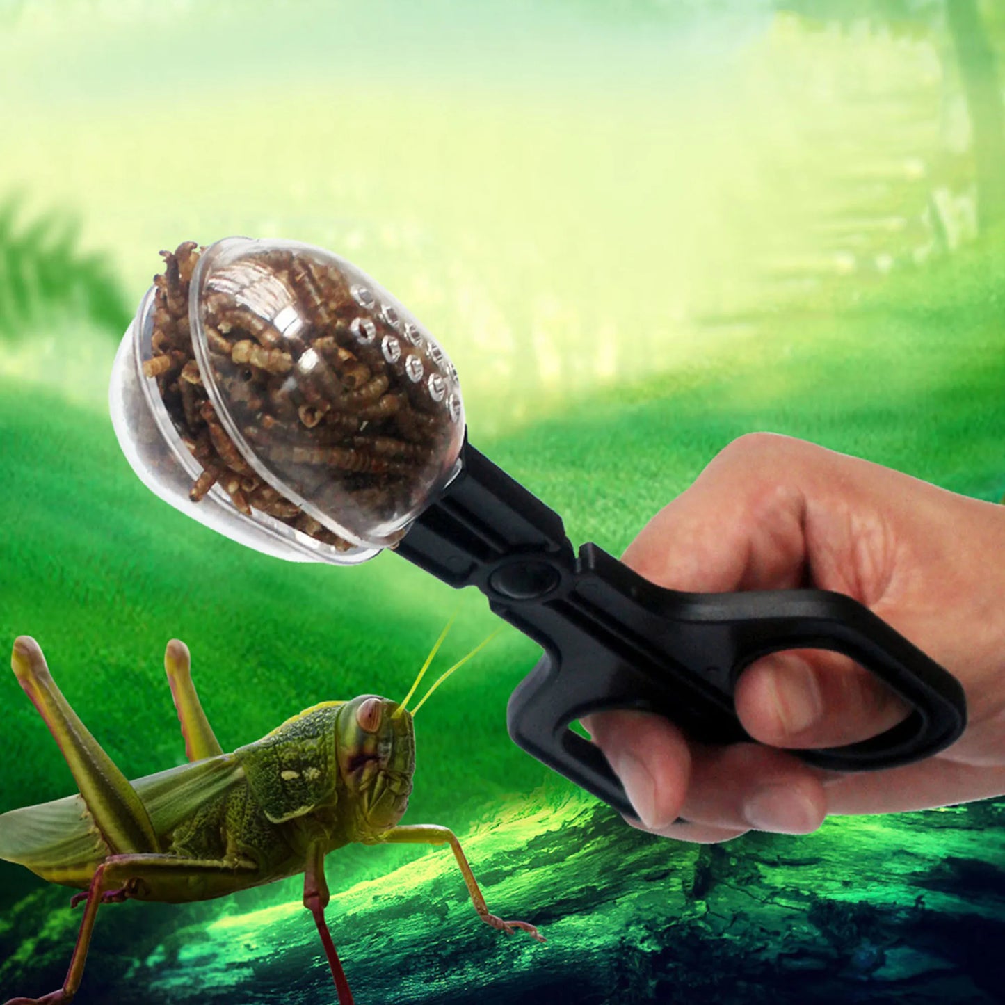 Pince à Insectes Transparente pour Reptiles – Capture Vivante, Plastique ABS, Tortue & Lézard
