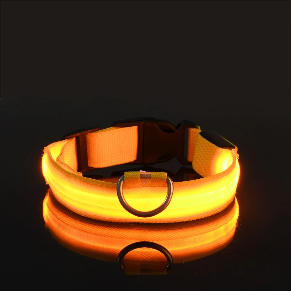 Collier LED Fluorescent pour Chien — Sécurité Nocturne, Nylon, 7 Coloris