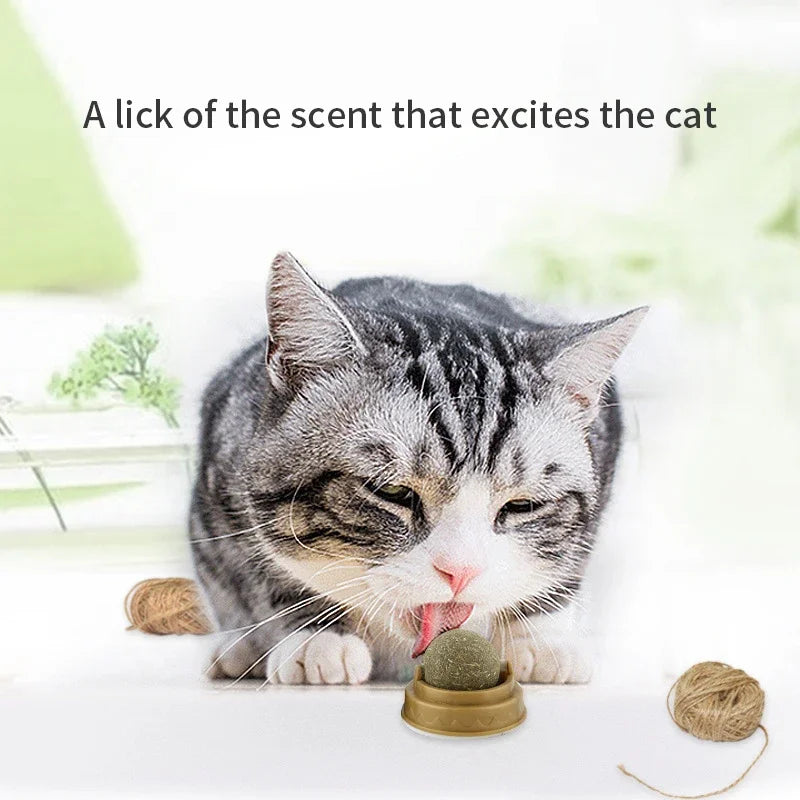 Balle Griffoir Murale au Catnip pour Chat — Stimulante & Digestive