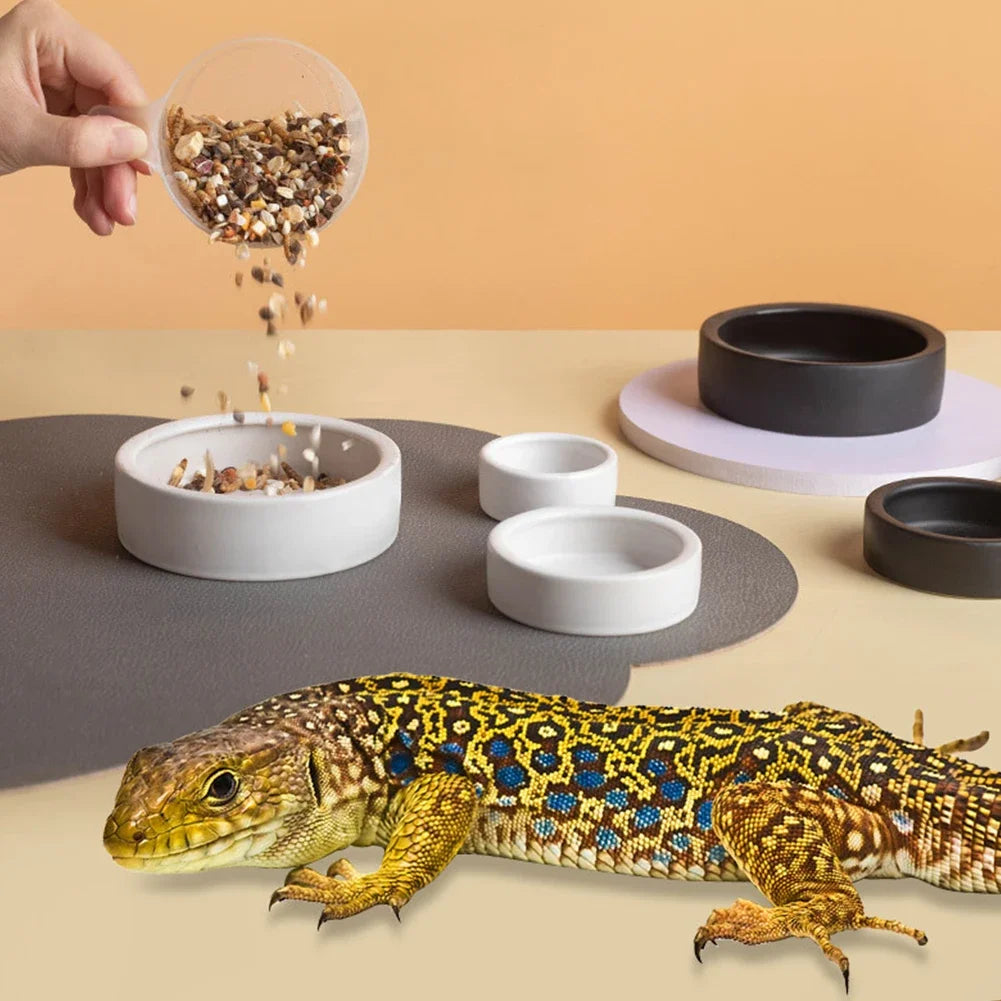 Coupelle en Céramique Ronde Anti-Évasion pour Reptiles – Fond Antidérapant, S / M / L