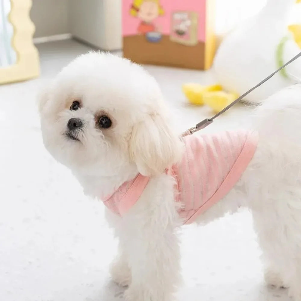 Gilet d'été pour petits et moyens chiens, vêtements rafraîchissants pour Chihuahua, Bouledogue Français, vêtements respirants, chemise décontractée pour chiot, costume pour chien