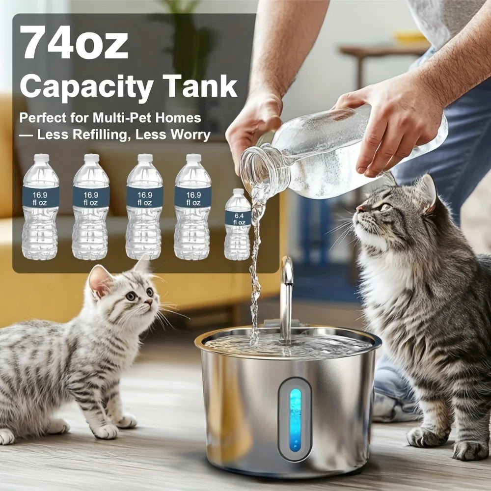 Fontaine à Eau en Acier Inoxydable pour Chat – 2,2 L avec Filtre