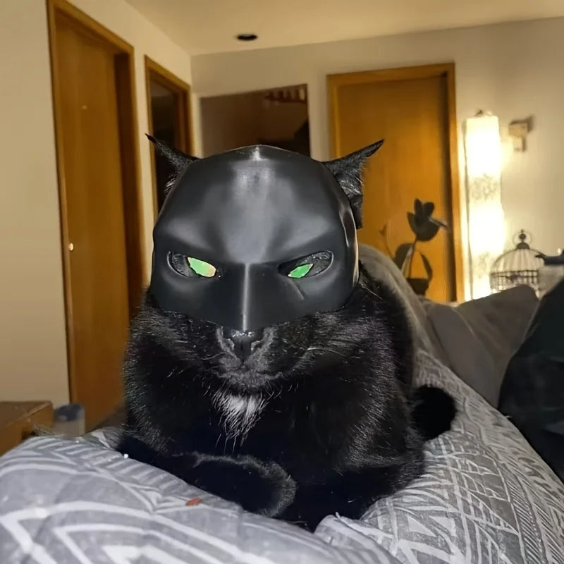 Kattenmasker