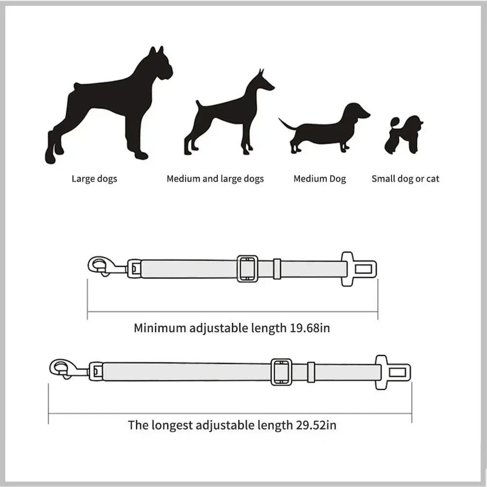 Ceinture de sécurité réglable pour chien et chat en voiture