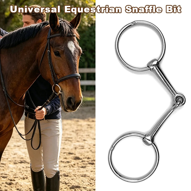 Mors de Type O pour Cheval – Dressage & Équitation Quotidienne