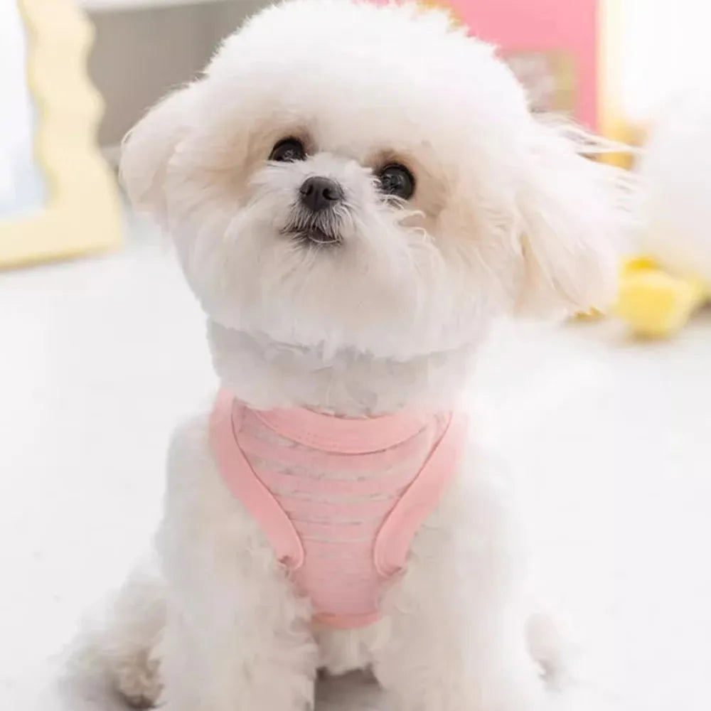 Gilet d'été pour petits et moyens chiens, vêtements rafraîchissants pour Chihuahua, Bouledogue Français, vêtements respirants, chemise décontractée pour chiot, costume pour chien